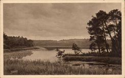Gers - Yvon - Soft France - Moors of Gasgogne - the Pond of Moliet CPA
