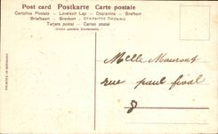 Festivals - Happy Birthday - Thought - Flowers - Pansy - CPA Anchors of marine