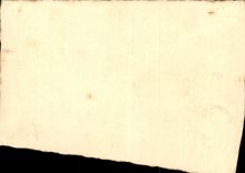 Festivals - Happy New Year - Rose CPA