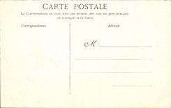 CPA Palate of Fontainebleau Terrace of the pond of carps