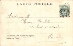 CPA Fantasy Child the small charming lady bird