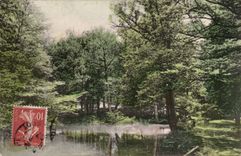 CPA Fantasy Landscape