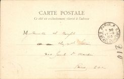 Paris CPA Place du Carrousel et palais du Louvrfe