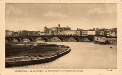 CPA Toulouse Le pont neuf la GAronne et la prairie des filtres
