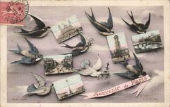 Paris CPA Souvenir Hirondelles