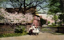 CPA Fantasy Landscape