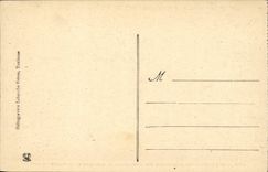 CPA Lourdes View from above on the esplanade the basilica and the valley of Gave