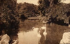 CPA Montpellier l'esplanade Le lac