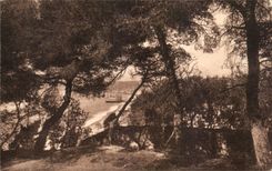 CPA Nice Seen from of the castle