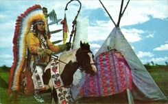 Canada Indian reserve Chief poking Caughnagawa Fire