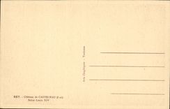 CPA Chateau de Castelnau Salon Louis XIV