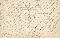 CPA Fantasy Woman and cock hen chicken