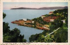 MODERN CARD garlic Cape the cApo Rognoso