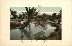 CPA Algeria Scenes and standard Landscape of the Algerian south