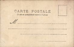 CPA Fantasy Woman Flower Mesdames!!