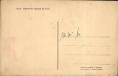 CPA Fenestrates Schloss von Pau