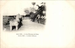 CPA Inde India Les chevaux de Siva