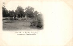 CPA Inde India pagodins champetres
