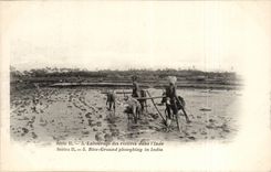 CPA Inde India Labourage dans les rizieres de l'inde