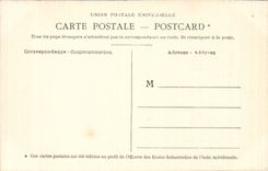 CPA Inde India Labourage dans les rizieres de l'inde