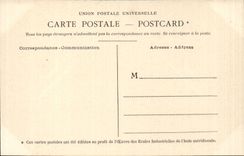 CPA Inde India La lutte dans la foret