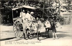 CPA Inde India Une voiture indigene ( boeufs ) TOP