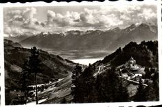 MODERN CARD Sonloup and fronts