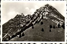 MODERN CARD Collar of Jaman 1520m Chain of Verreaux and Chalet Case