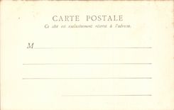 Paris CPA Cedars of the botanical garden (tree tree)