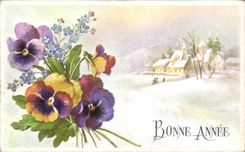 CPA Fantasy Happy New Year