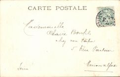 CPA Fantasy the small charming lady of birds