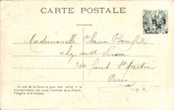 CPA Fantasy the small charming lady of birds