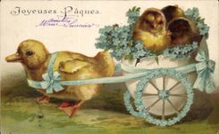 Merry CPA Fantasy Easter Easter Chicks