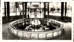 CPM Vichy la source grande grille