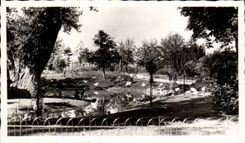 CPM Vichy Les parcs et le nouveau bassin des cygnes