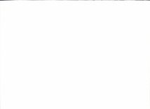 MODERNE KARTE Italien Italien Lago Maggiore isolierte schones Dal Lido di Stresa