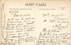 CPA Fantasy Sheep sheep