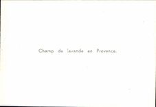 MODERN CARD Excursion of the gorges of the Verdon Field of lavender in Provence