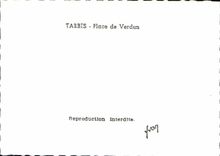 Tarbes CPSM Places of Verdun (Citroen)