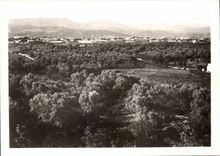 Morocco CPSM Taza View on the olive-trees and the new city