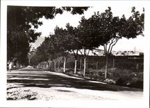 Morocco CPSM Taza Road of High Taza