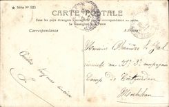 CPA Fantasy Child Doves