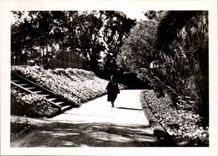 CPSM Morocco Mazagan Park Paul Doumer