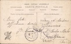 CPA Fantasy Woman Living room 1906 Etcheverry wolves