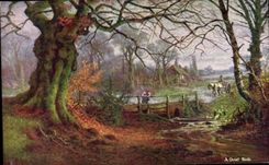 CPA Fantasy Landscape