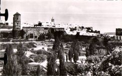 CPSM Morocco Folds back the point of the oudaias seen gardens