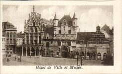 Belgium Malignant CPA Town hall and museum