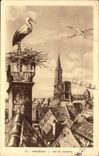 Strasbourg CPA Cathedral Nest of storks