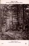 CPA Salon de 1934 Albert Moulle L'automne en foret a Moret