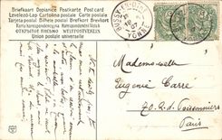 CPA Fantasy Ducks Ducks